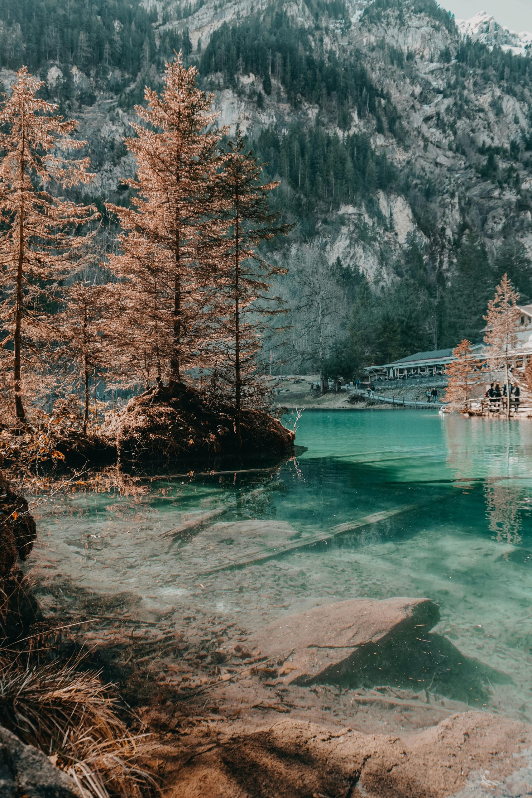 Discover the serene beauty of Blausee with lush forests and crystal-clear waters, perfect for peaceful travel enthusiasts.